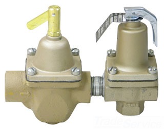 Watts S1450F 1/2 inch Dual Control Valve 0388800